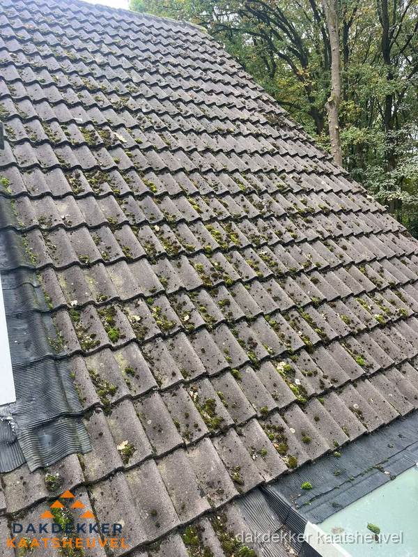 Verweerd pannendak met mosgroei dat renovatie nodig heeft in Kaatsheuvel