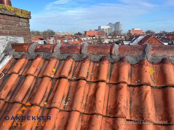 Pannendak met nokvorst en schoorsteen, dakrenovatie in Kaatsheuvel