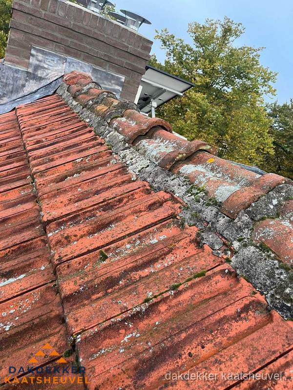Verweerd hellend dak met mosgroei op nokvorst in Kaatsheuvel